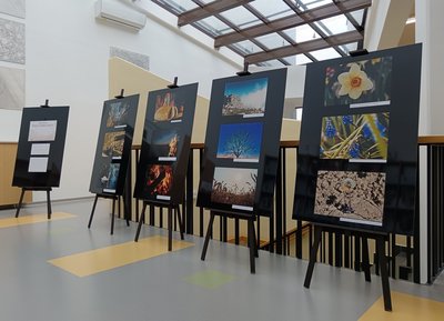 Razstava na strokovnem oddelku.