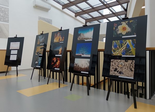 Razstava na strokovnem oddelku.